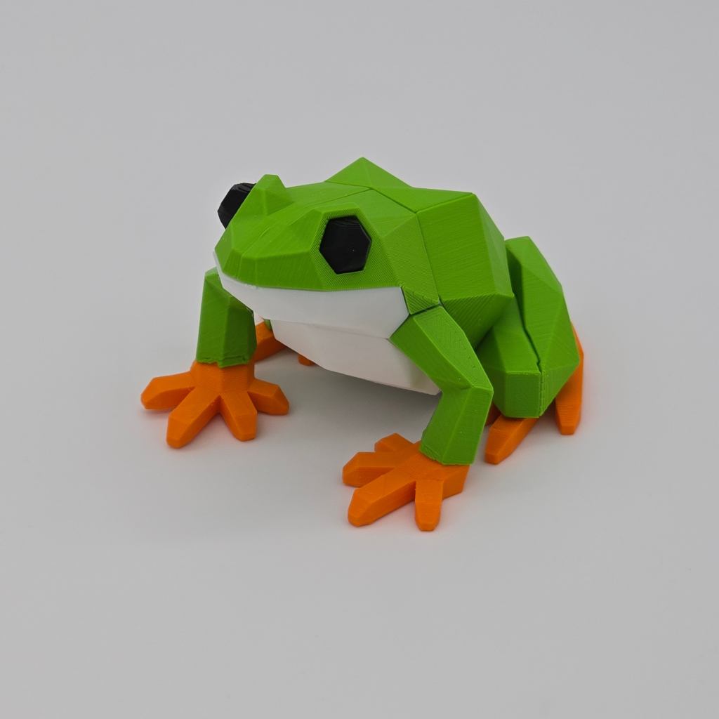 Frog Magnetic Puzzle